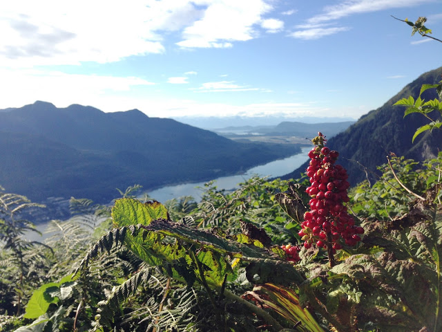 mount roberts, alaska, juneau, navio, cruzeiro, giovana quaglio, mogi, mirim, guaçu, campinas, blogueira, celebrity century, celebrity cruises