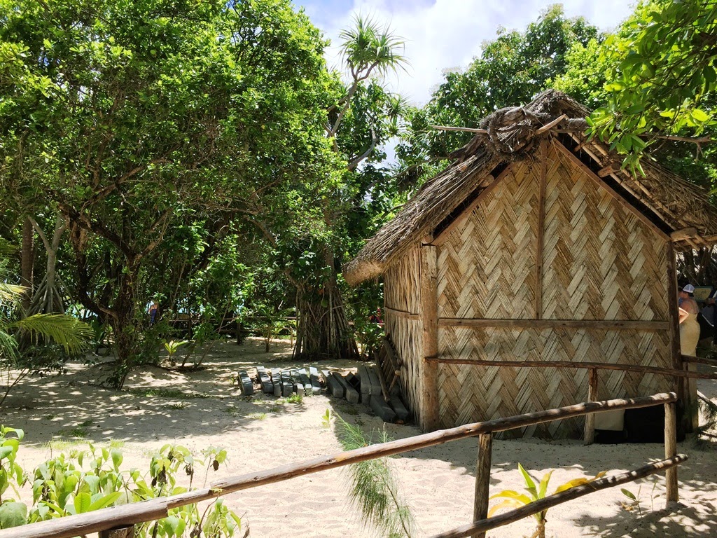 mystery island, vanuatu, pacific islands, cruise ship, navio, cruzeiro, pacifico, paraiso, turismo, viagem, travel, giovana quaglio,