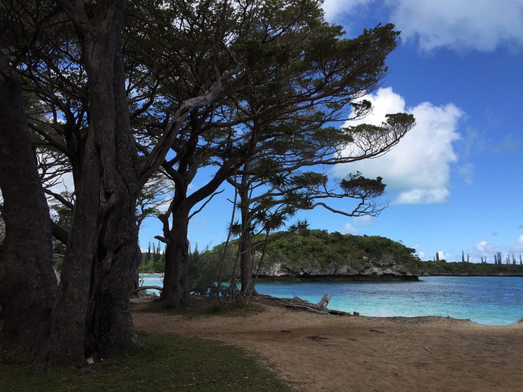 isle of pines, noumea, nova caledonia, new caledonia, ile des pines, ilha dos pinheiros, paraiso, ilha paradisiaca, giovana quaglio, acho tendencia, blog de viagens, celebrity cruises, celebrity solstice