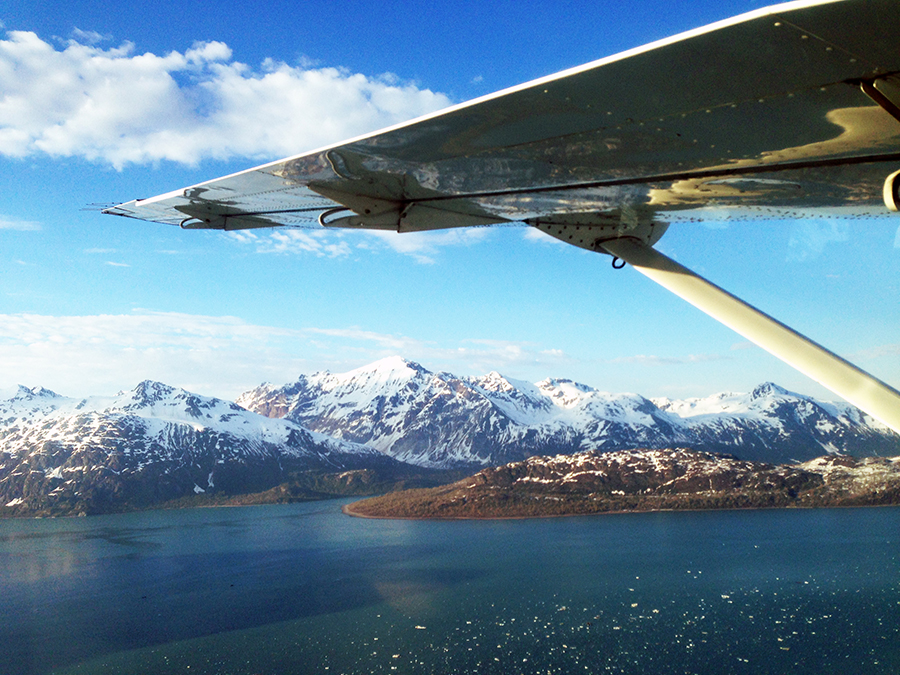 voo, glaciar, alaska, passeio de aviao pelo alasca, hoonah, icy strait point, estados unidos, geleiras, acho tendencia, giovana quaglio