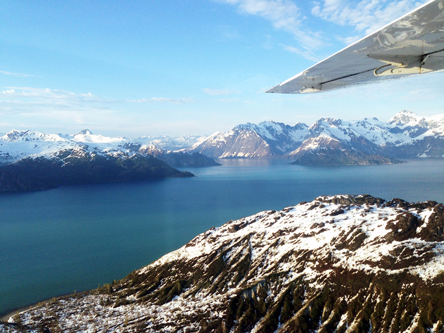 voo, glaciar, alaska, passeio de aviao pelo alasca, hoonah, icy strait point, estados unidos, geleiras, acho tendencia, giovana quaglio