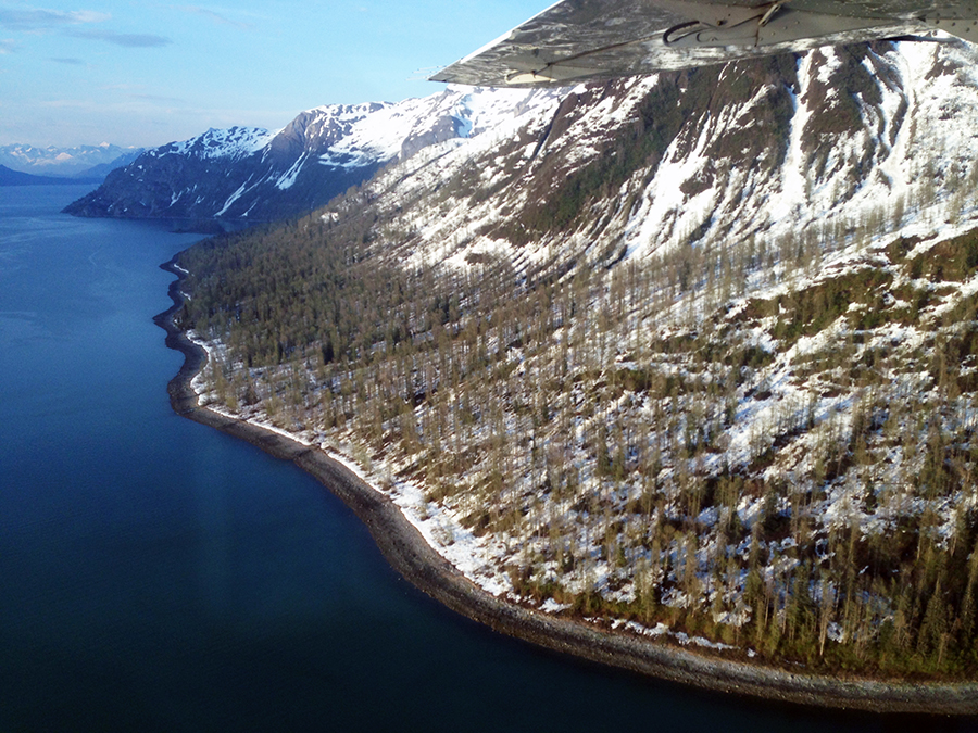 voo, glaciar, alaska, passeio de aviao pelo alasca, hoonah, icy strait point, estados unidos, geleiras, acho tendencia, giovana quaglio