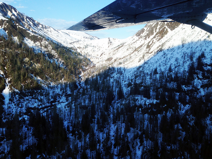 voo, glaciar, alaska, passeio de aviao pelo alasca, hoonah, icy strait point, estados unidos, geleiras, acho tendencia, giovana quaglio