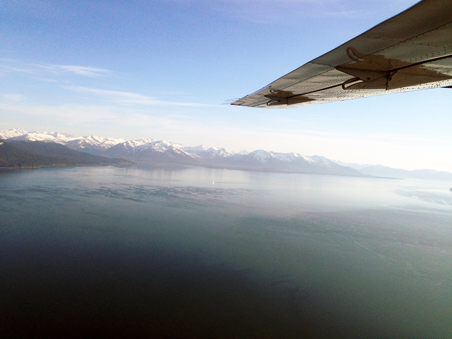 voo, glaciar, alaska, passeio de aviao pelo alasca, hoonah, icy strait point, estados unidos, geleiras, acho tendencia, giovana quaglio