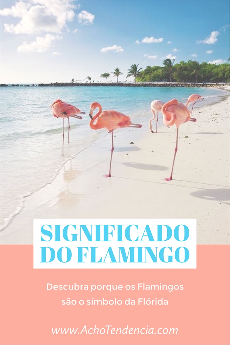 flamingo, florida, passaro, rosa, pink, porque, simbolo, miami, orlando, flamingos