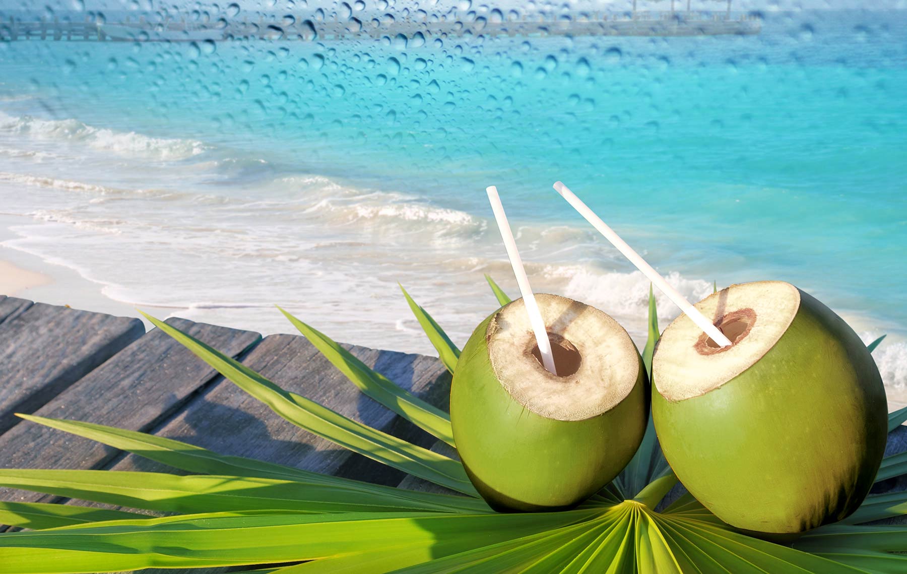 agua de coco, coconut water, giovana quaglio