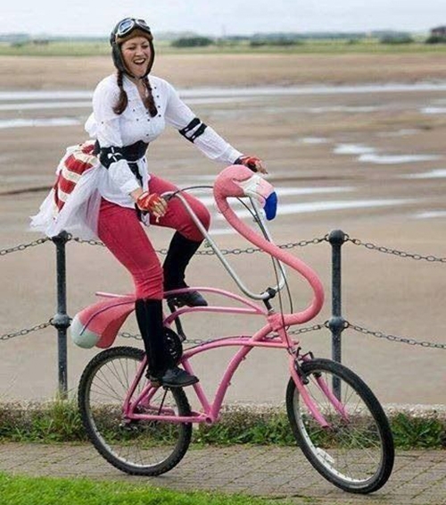 flamingo, acessorios, coisas, decoracao, roupas, bicicleta