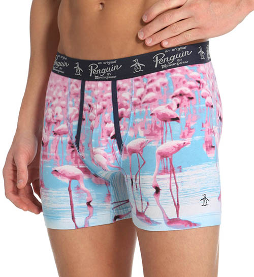 flamingo, acessorios, coisas, decoracao, roupas, cueca