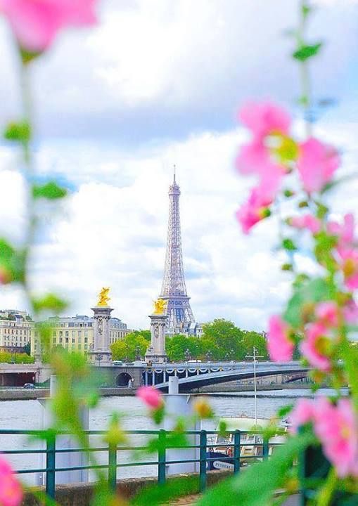 paris, fotos, incriveis, maravilhosas, papel de parede, torre eiffel, frança, louvre, notre dame, disneyland, versalhes,