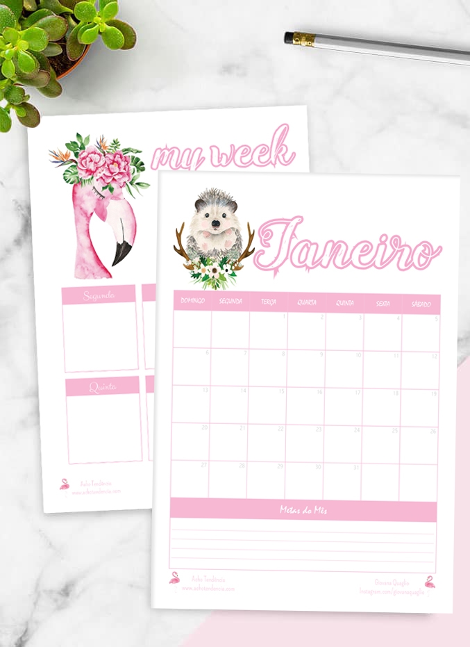 planner, 2019, gratis, download