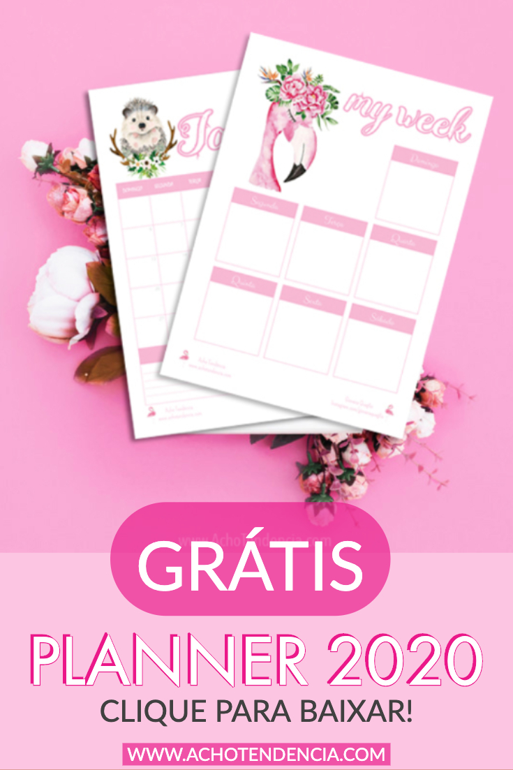 planner, 2020, baixar, gratis, imprimir