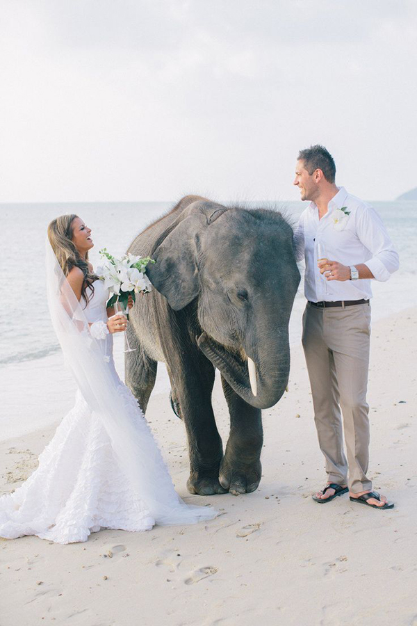 casamento na praia, fotos de casamento, ideias, inspiração, decoração, altar