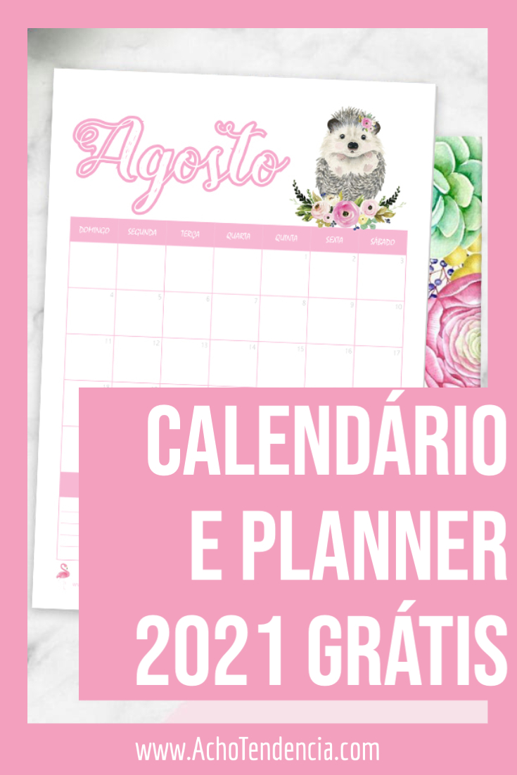 planner, calendario, 2021, imprimir, grátis, feminino