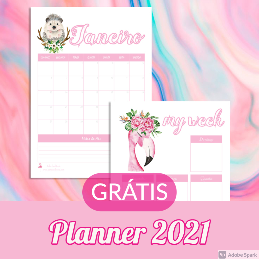 planner, calendario, 2021, imprimir, grátis, feminino