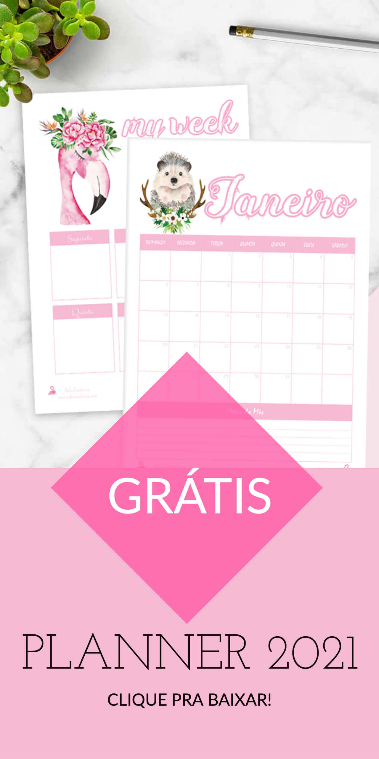 planner, calendario, 2021, imprimir, grátis, feminino